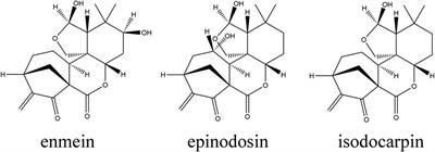 Comparative Pharmacokinetics of Three Bioactive Diterpenoids of Rabdosia serra Extract in Normal and Con A-Induced Liver Injury Rats Using UPLC-MS/MS